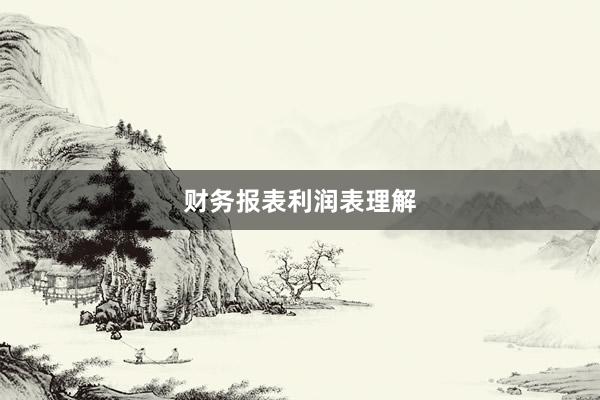 财务报表利润表理解